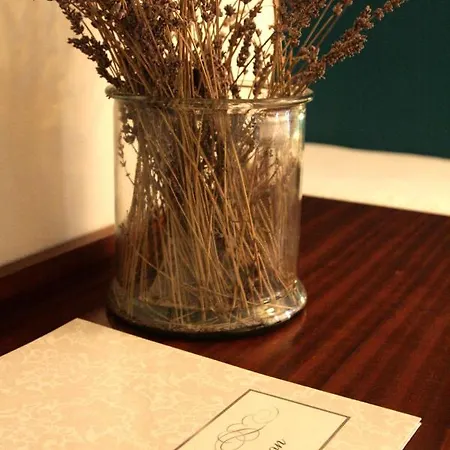 Adonis - Albion Hotel Ajaccio (Corsica)