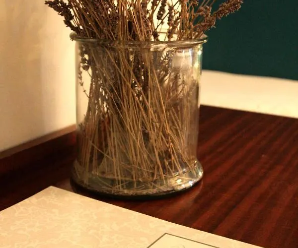 Albion Hotell Ajaccio (Corsica)