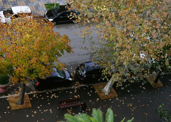 Albion Hotell Ajaccio (Corsica)